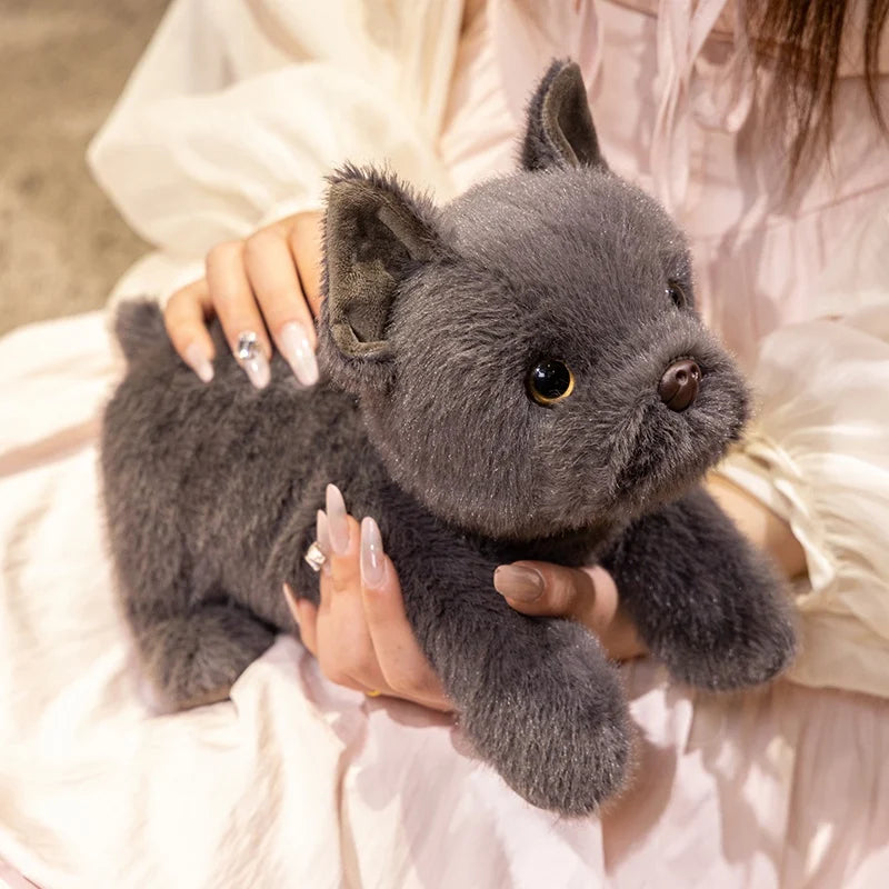 Adorable Blue French Bulldog Plush Toy – Cozy Stuffed Animal Gift