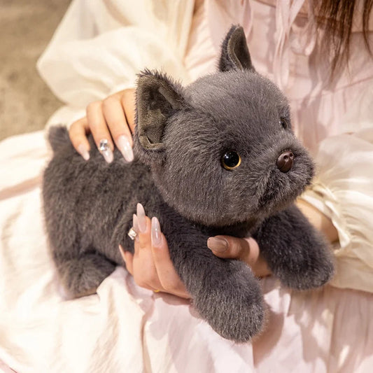 Adorable Blue French Bulldog Plush Toy – Cozy Stuffed Animal Gift