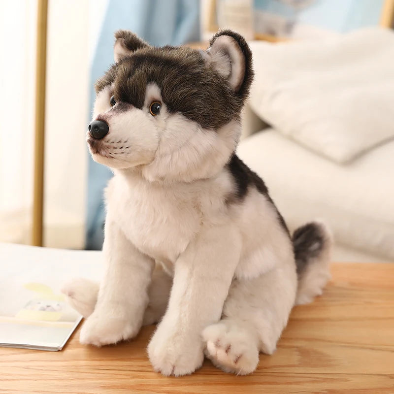 Black & White Husky Plush – Fluffy Snow Puppy Snuggle Buddy Gift