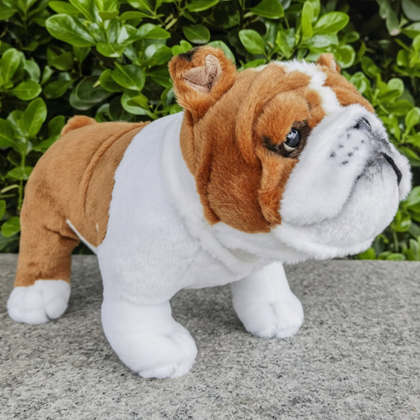 Lovable English Bulldog Plush Toy for Bully Lovers - Red and White British Bulldog - Realistic Memorial Keepsake