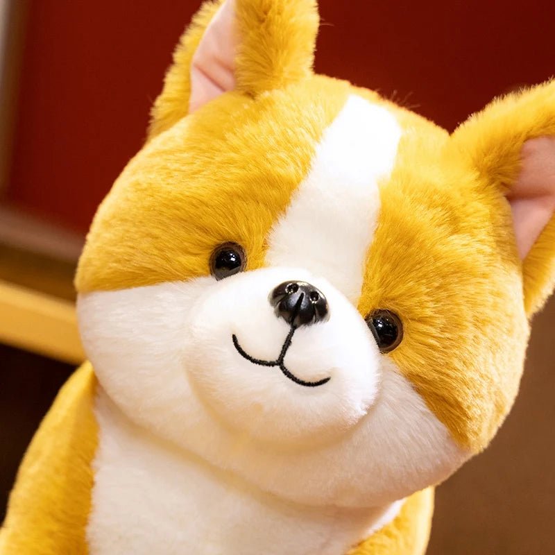 Tan & White Golden Biscuit Patch Corgi Puppy Plush – Cuddle Buddy