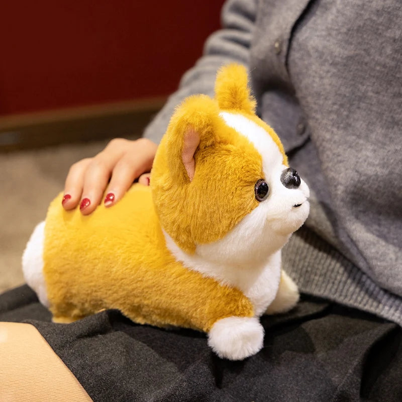 Tan & White Golden Biscuit Patch Corgi Puppy Plush – Cuddle Buddy
