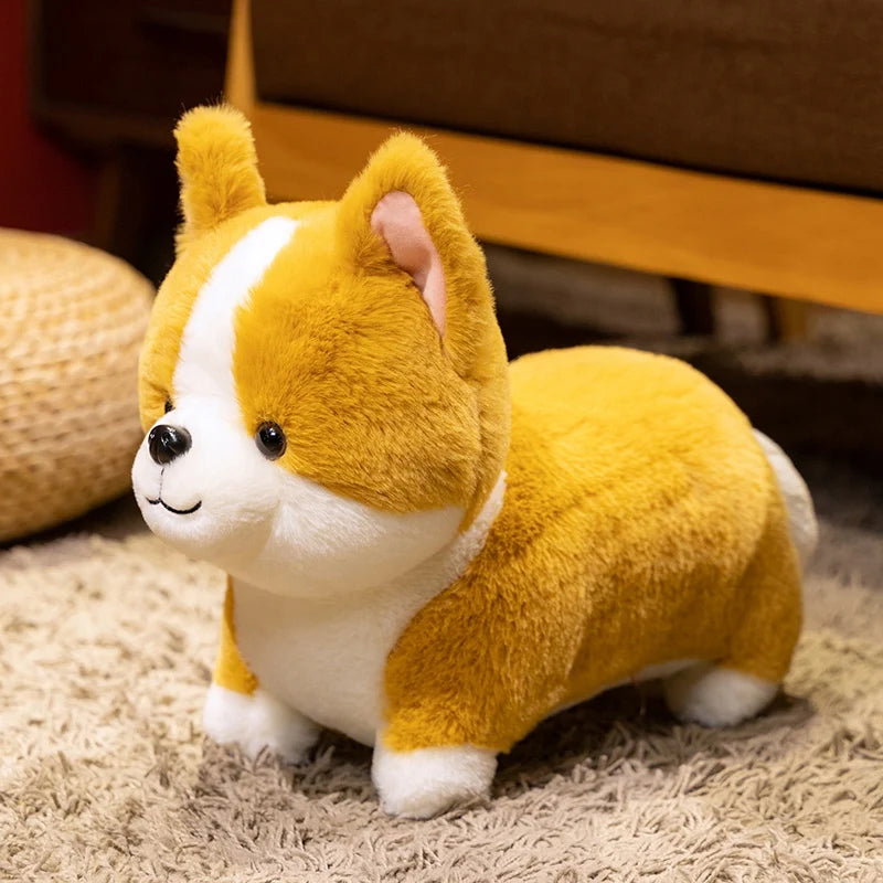 Tan & White Golden Biscuit Patch Corgi Puppy Plush – Cuddle Buddy
