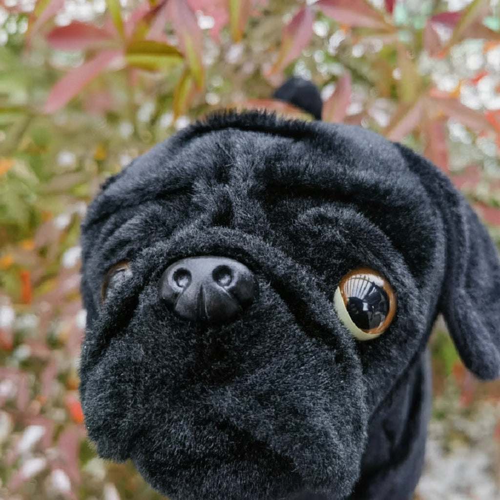 Tiny Paws Black Pug Stuffed Animal – Cute Collectible Puppy Plush